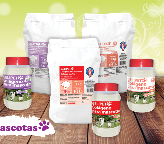 Colágeno para mascotas GELIPET®