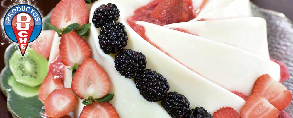 Panacotta Encapsulado